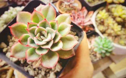 ֪�������Ĺ��������������Ȧ˵˵�ղ�