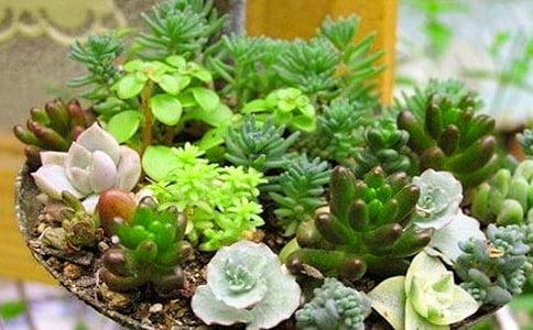 ɹ����������İ��ղ�160��