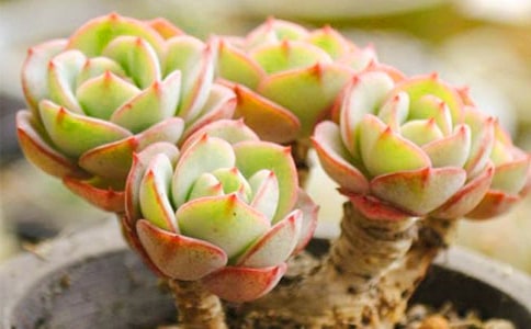 ��һ�����������ģ���ѡ45ƪ��