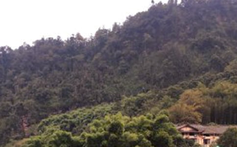 ����üɽ�¸衷��Ʒ��ѧ���10ƪ