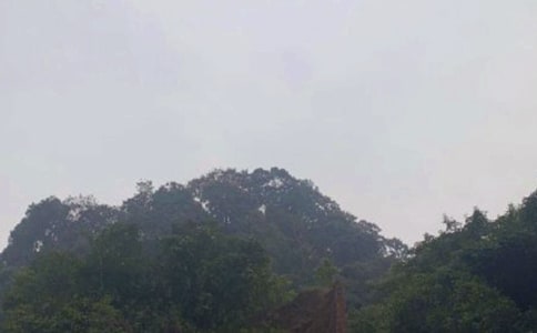 ��üɽ����