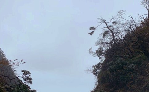 ��üɽ֮������7ƪ