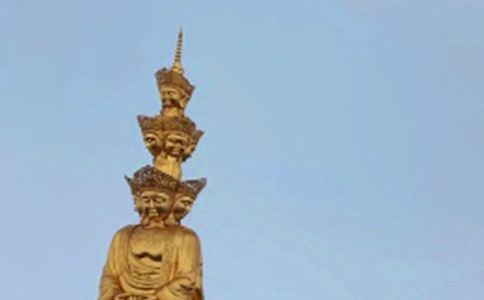 ��üɽ���ľ���(14ƪ)