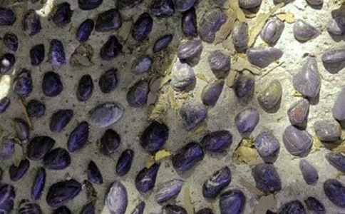 ��ϲ������ʯ����