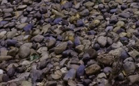 ����һ�Ŷ���ʯ���ģ���ѡ14ƪ��