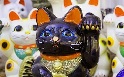 ף�����ѷ��Ƶľ���