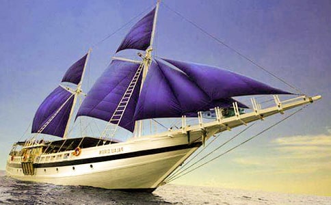 ��������ֽ�������̰�