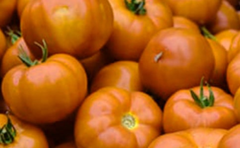 ���ѳ�������15ƪ����ѡ��