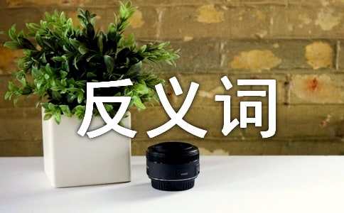 进步的反义词是什么