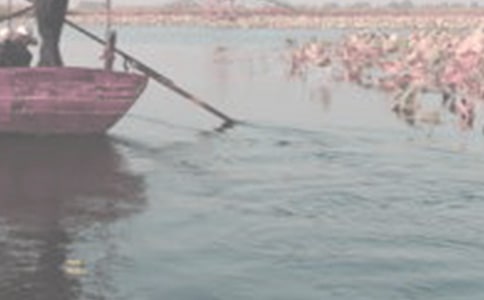 �麣��������ʵ�ã�2ƪ��