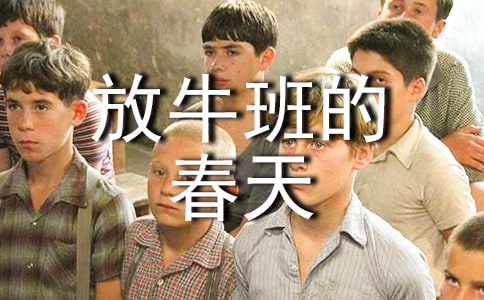 ��������ţ��Ĵ���ۺ��