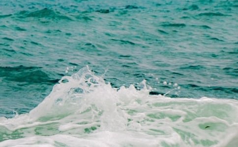 ���ڷ������İ�����£�ͨ��11ƪ��