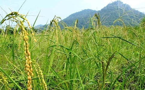 ���ܶ�����ʱ���Ĵ��졷�����