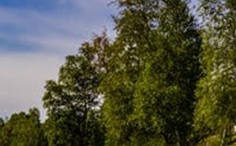 2023年精选形容风景优美的句子28句