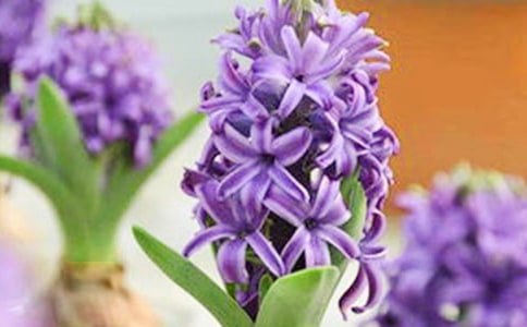 ����������ʵ�ã�14ƪ��