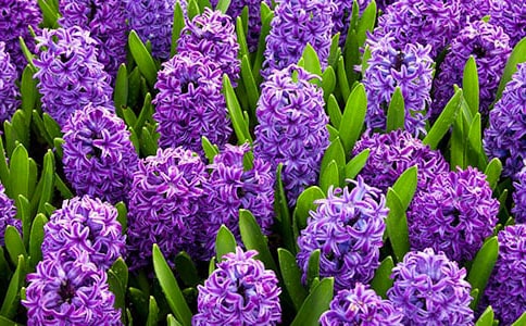 ����������(��14ƪ)