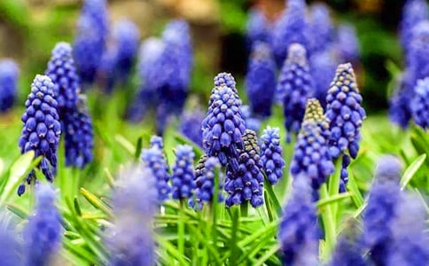 �����ӻ�����������