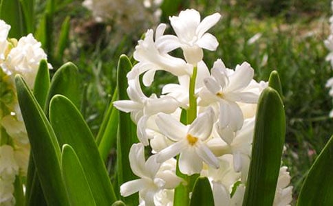 ���������Ĵ�ȫ15ƪ