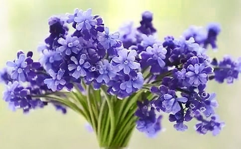 ����������14ƪ����ѡ��