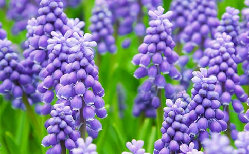 �ҵķ���������