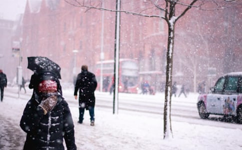 ���ݷ�ѩ��������ʫ��