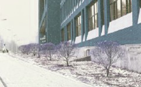 ��д�����ѩ�Ĵ���