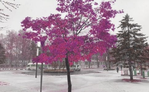 ��ѩ֮ҹ���ִ�ʫ��