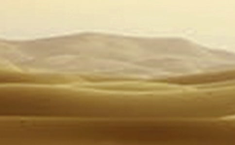 �øɺ���������