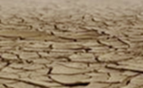 ������λ�Į���͸ɺ�������