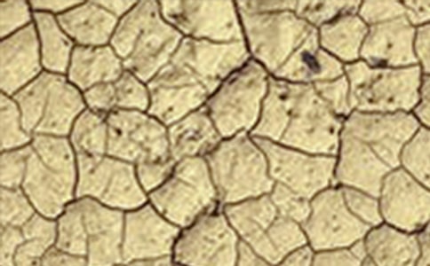 ����̻��ɺ�������������ѡ7ƪ��