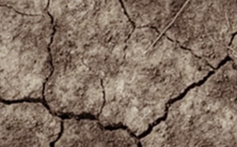 �й��ɺ��ֺ���Ҫ�ֲ�������