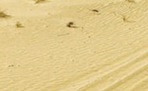 ����������λ�Į���͸ɺ������ģ���������