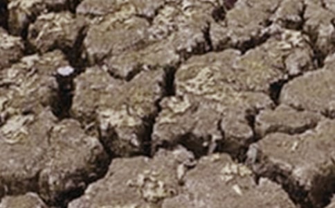 �ɺ���ˮ�������ģ���ѡ8ƪ��