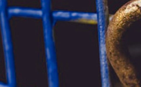 �������ǡ��ޡ���������?���Ķ���