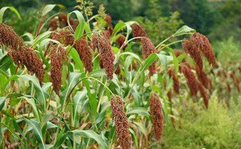 ������-��ѧ��� 