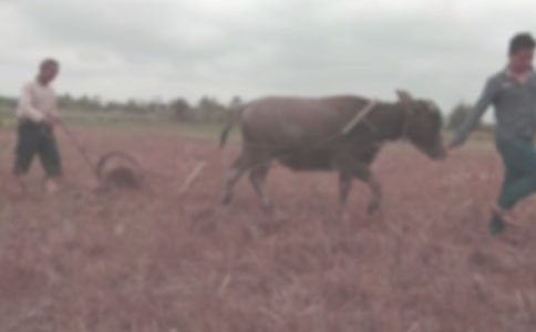 �һ�Դ��ɸ���ȫʫ��˼