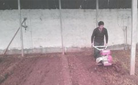 ���¸����ķ�������