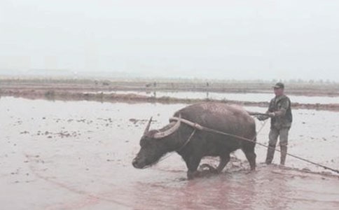 Ů�����еķ�������