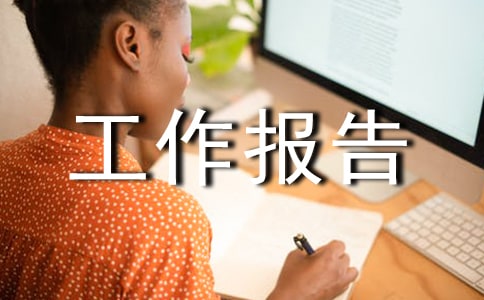 网络部工作报告