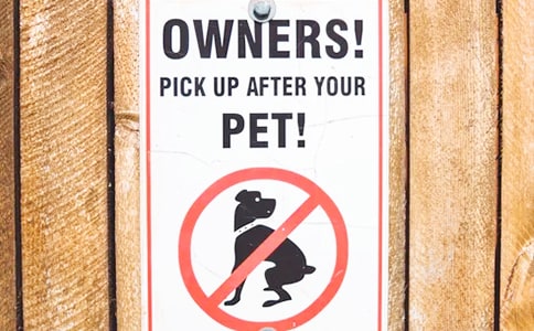 ������ôд