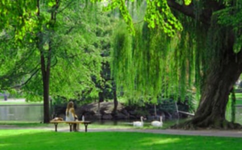 �����Ĺ�԰����(���10ƪ)