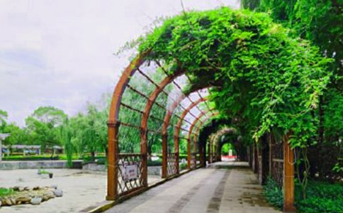 �����ι�԰���ռ�5��