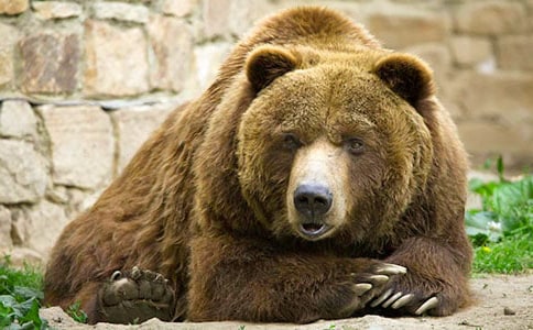 װ���Ĺ��ܱ�������