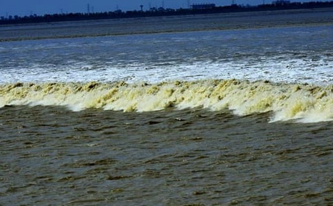 Сѧ�۳��μ�����