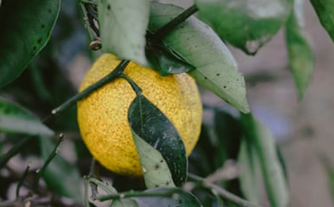 С�����Խ̰�������ȥ��԰�̰�����ѧ��˼