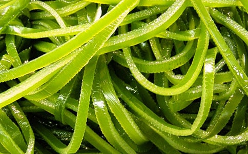 ��ཡ�������ĺ����̰�