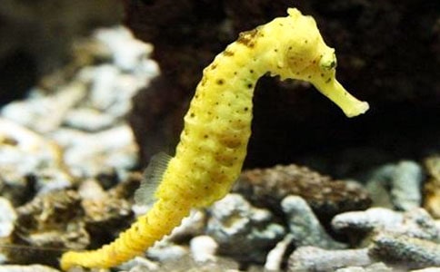 ����С����Ϊʲô�Ǹ��������Ķ��⼰��