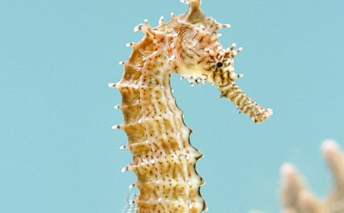 ���̰�С������ѧ��˼