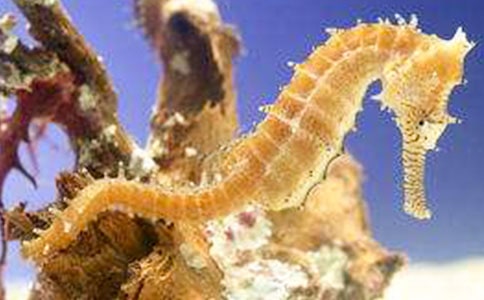 �Ժ�����ô��ʲô����