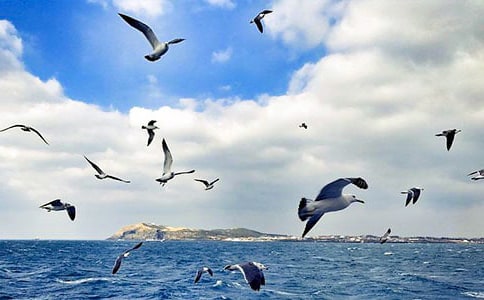 ����ֽ��Ÿ�ֹ���ֽ�̳�